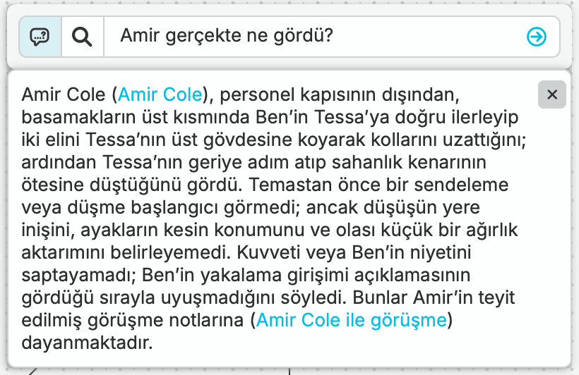 Leah, “Amir gerçekte ne gördü?” diye sorar. nQuest, Amir'in görüşündeki boşluklarla birlikte Tessa'nın geriye doğru adımından önceki teması ve kolun uzatılmasını açıklar.